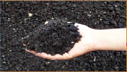 Bituminous pavement material